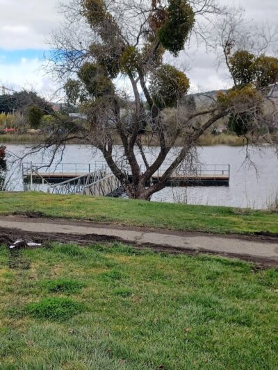 Dan Foley Park - Vallejo, CA