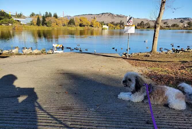 Dan Foley Park - Vallejo, CA