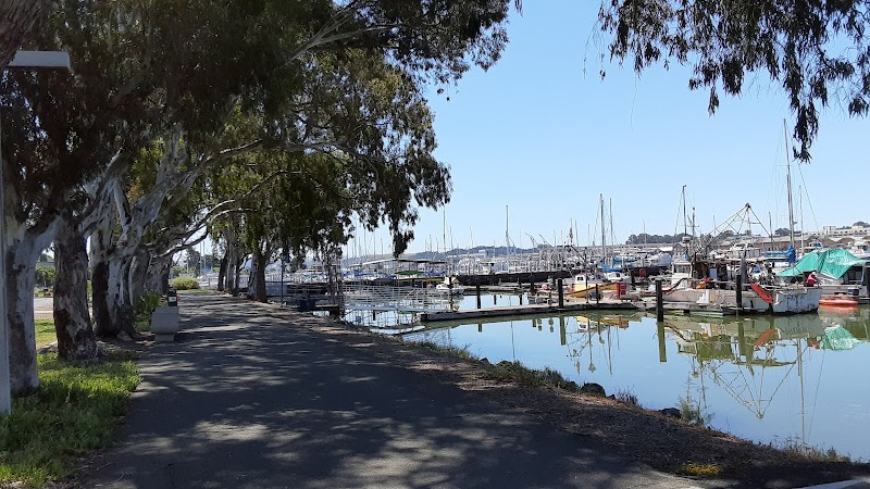 Dolores Huerta Park - Vallejo, CA