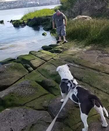 Glen Cove Waterfront Park - Vallejo, CA