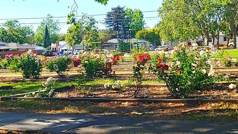 Grant Mahony Park - Vallejo, CA