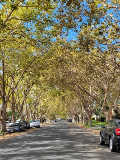 Grant Mahony Park - Vallejo, CA