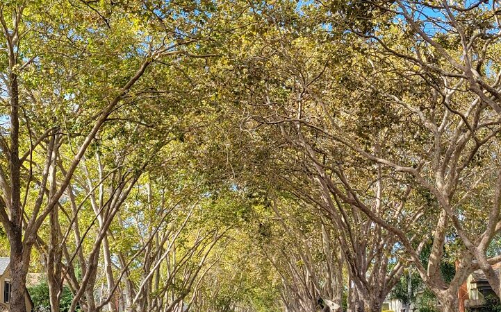 Grant Mahony Park - Vallejo, CA