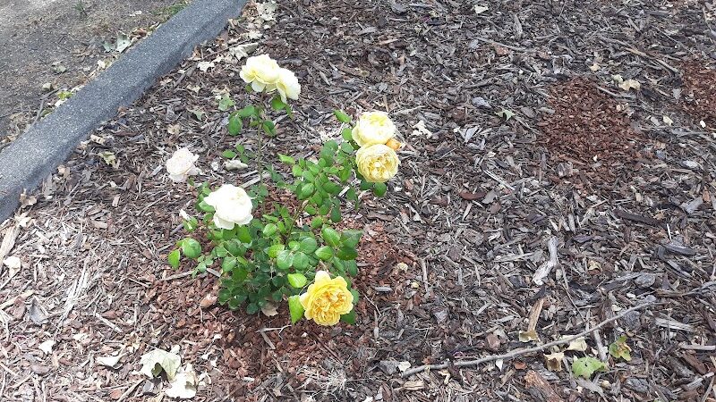 Grant Mahony Park - Vallejo, CA