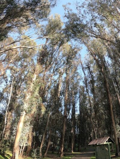 Hanns Park - Vallejo, CA