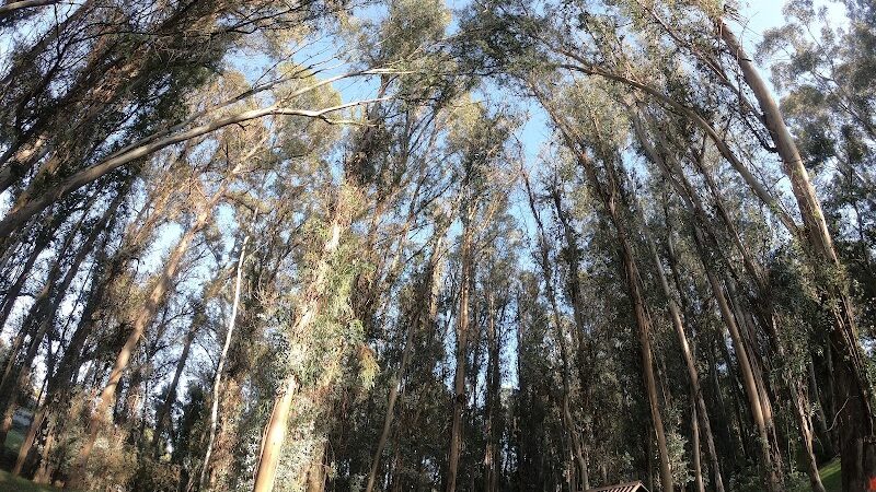 Hanns Park - Vallejo, CA