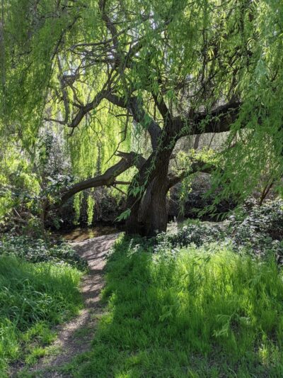 Hanns Park - Vallejo, CA