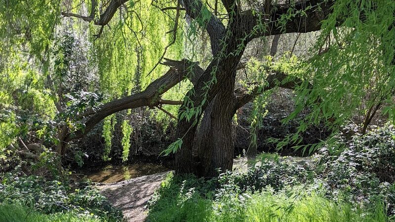 Hanns Park - Vallejo, CA