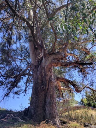 Hanns Park - Vallejo, CA