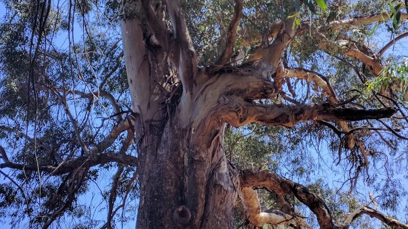 Hanns Park - Vallejo, CA