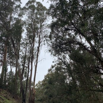 Hanns Park - Vallejo, CA