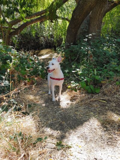 Hanns Park - Vallejo, CA