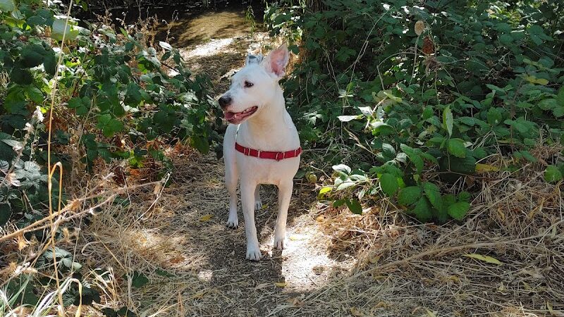 Hanns Park - Vallejo, CA