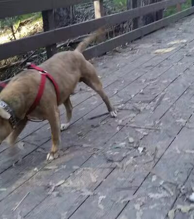 Hanns Park - Vallejo, CA