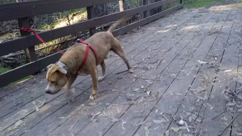 Hanns Park - Vallejo, CA