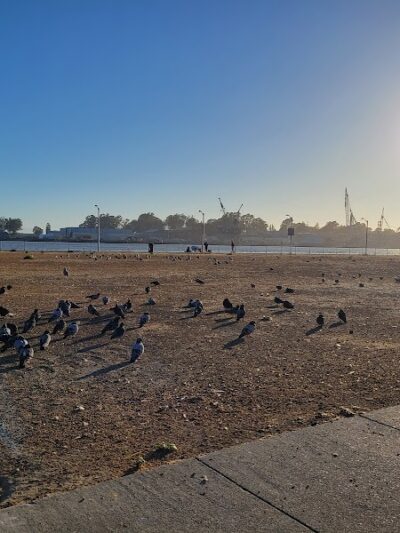 Independence Park - Vallejo, CA