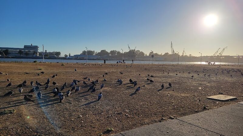Independence Park - Vallejo, CA