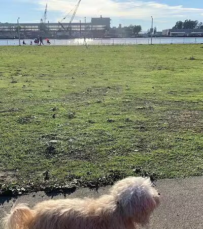 Independence Park - Vallejo, CA