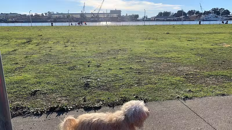 Independence Park - Vallejo, CA