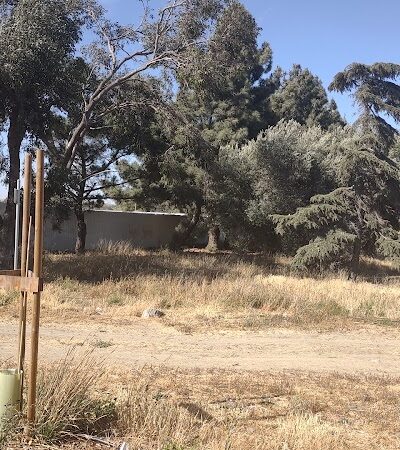 Lake Dalwigk Park - Vallejo, CA