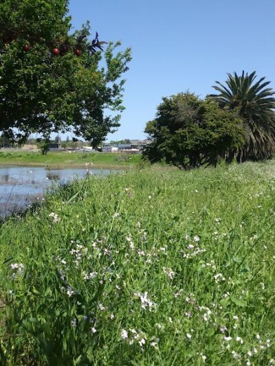 Lake Dalwigk Park - Vallejo, CA