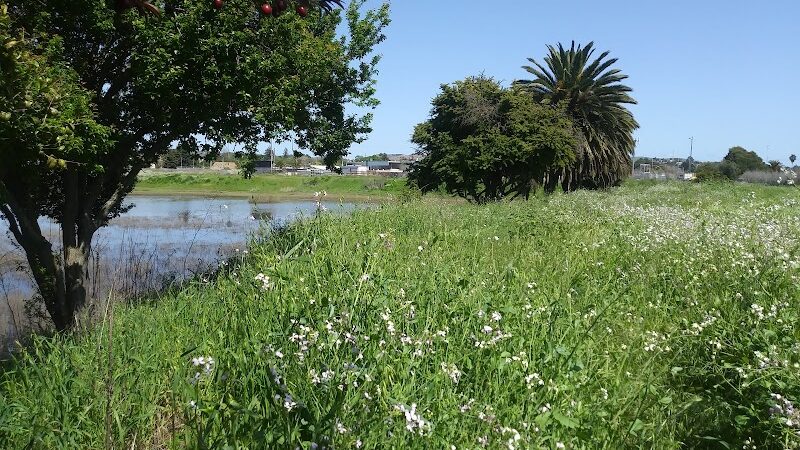 Lake Dalwigk Park - Vallejo, CA