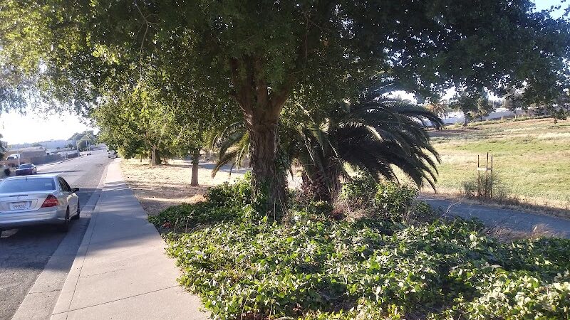Lake Dalwigk Park - Vallejo, CA