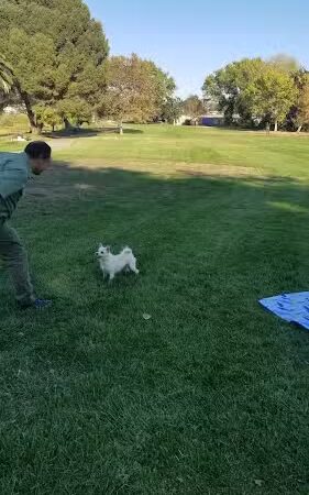 Lake Dalwigk Park - Vallejo, CA