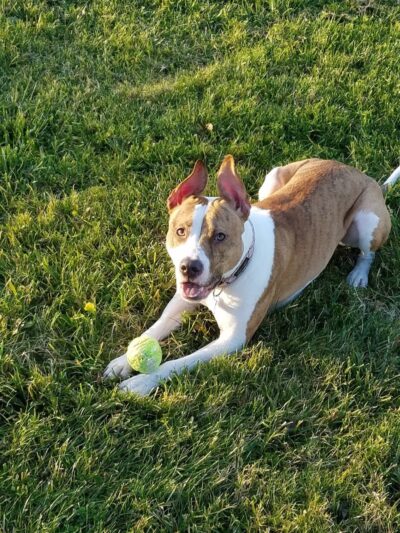 Richardson Park - Vallejo, CA