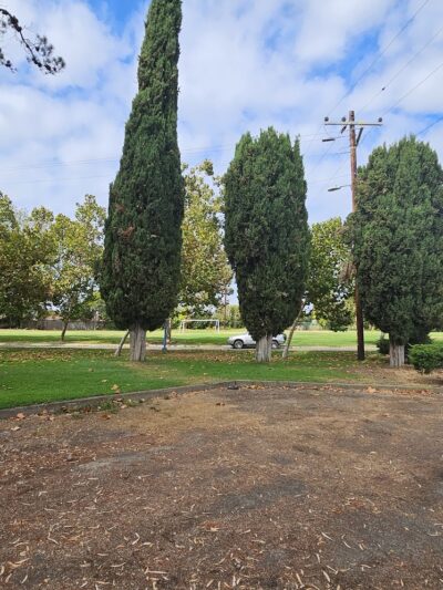 Richardson Park - Vallejo, CA