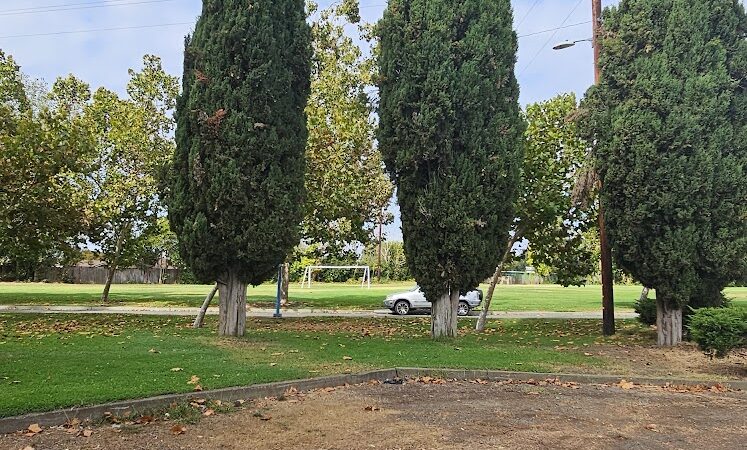 Richardson Park - Vallejo, CA