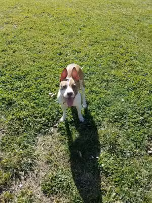Richardson Park - Vallejo, CA