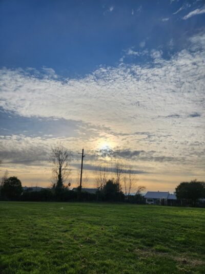 Richardson Park - Vallejo, CA