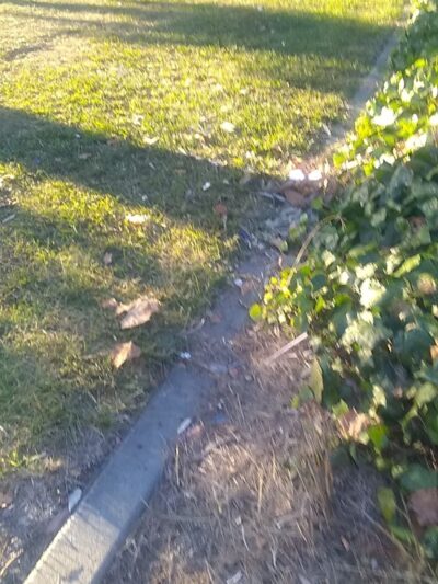 Richardson Park - Vallejo, CA