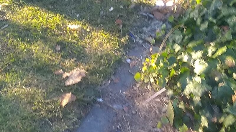 Richardson Park - Vallejo, CA