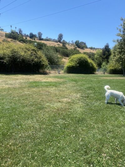 Wardlaw Park - Vallejo, CA