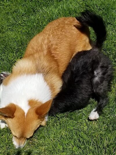 Wardlaw Park - Vallejo, CA