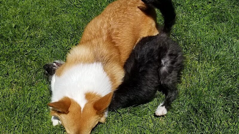 Wardlaw Park - Vallejo, CA