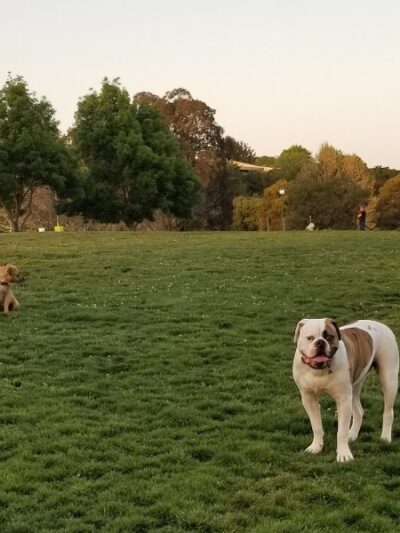 Wardlaw Park - Vallejo, CA