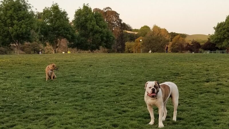 Wardlaw Park - Vallejo, CA