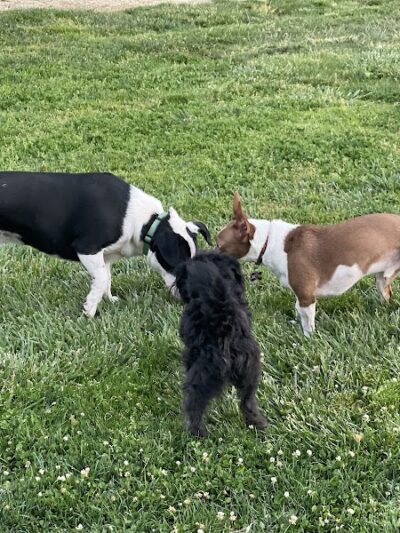 Wardlaw Park - Vallejo, CA