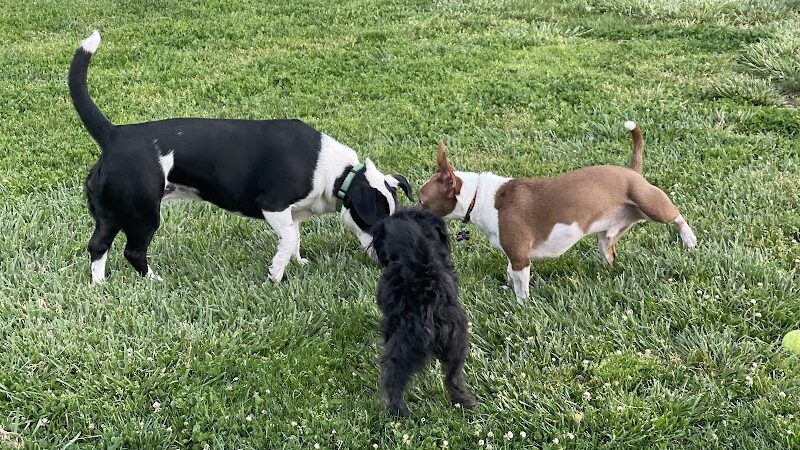 Wardlaw Park - Vallejo, CA