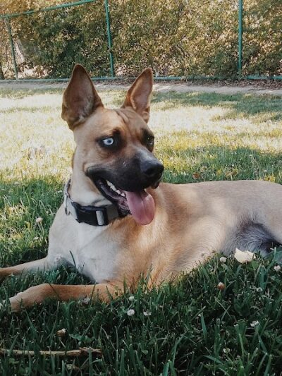 Wardlaw Park - Vallejo, CA