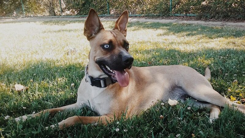 Wardlaw Park - Vallejo, CA