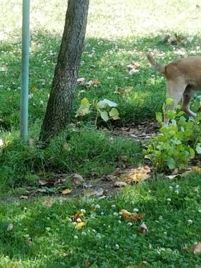 Wardlaw Park - Vallejo, CA