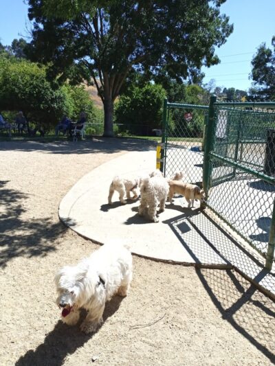 Wardlaw Park - Vallejo, CA