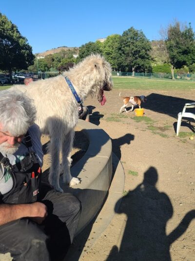 Wardlaw Park - Vallejo, CA