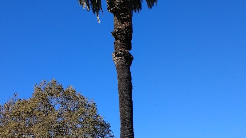 Washington Park - Vallejo, CA