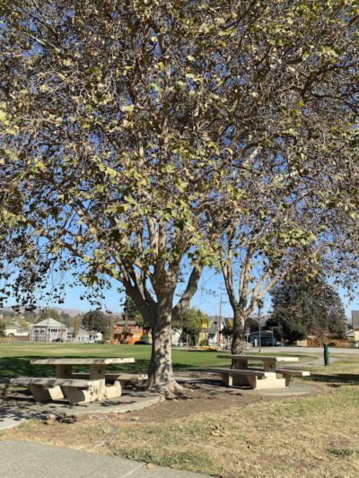 Washington Park - Vallejo, CA