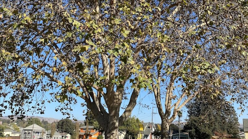 Washington Park - Vallejo, CA